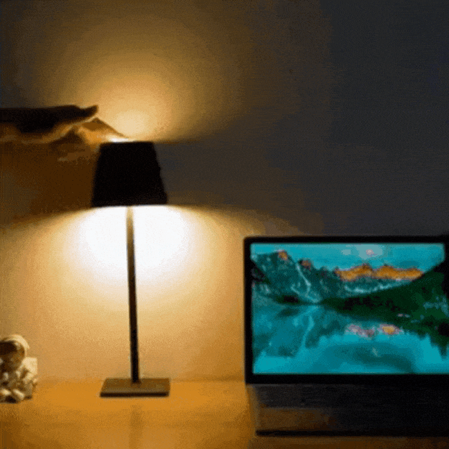 Nordia Light: Stylish Cordless Rechargeable Table Lamp