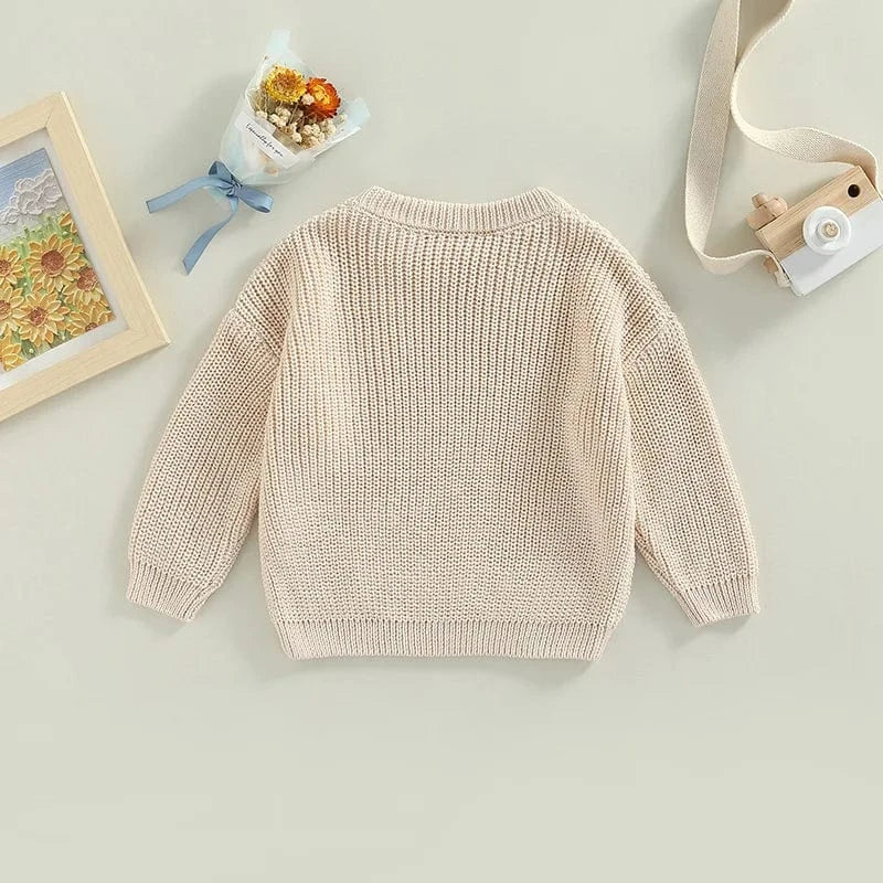 Cozy Knit Pullover Sweater for Toddlers