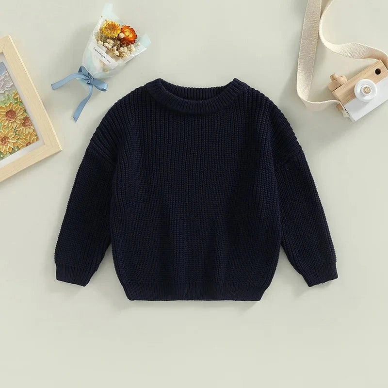 Cozy Knit Pullover Sweater for Toddlers