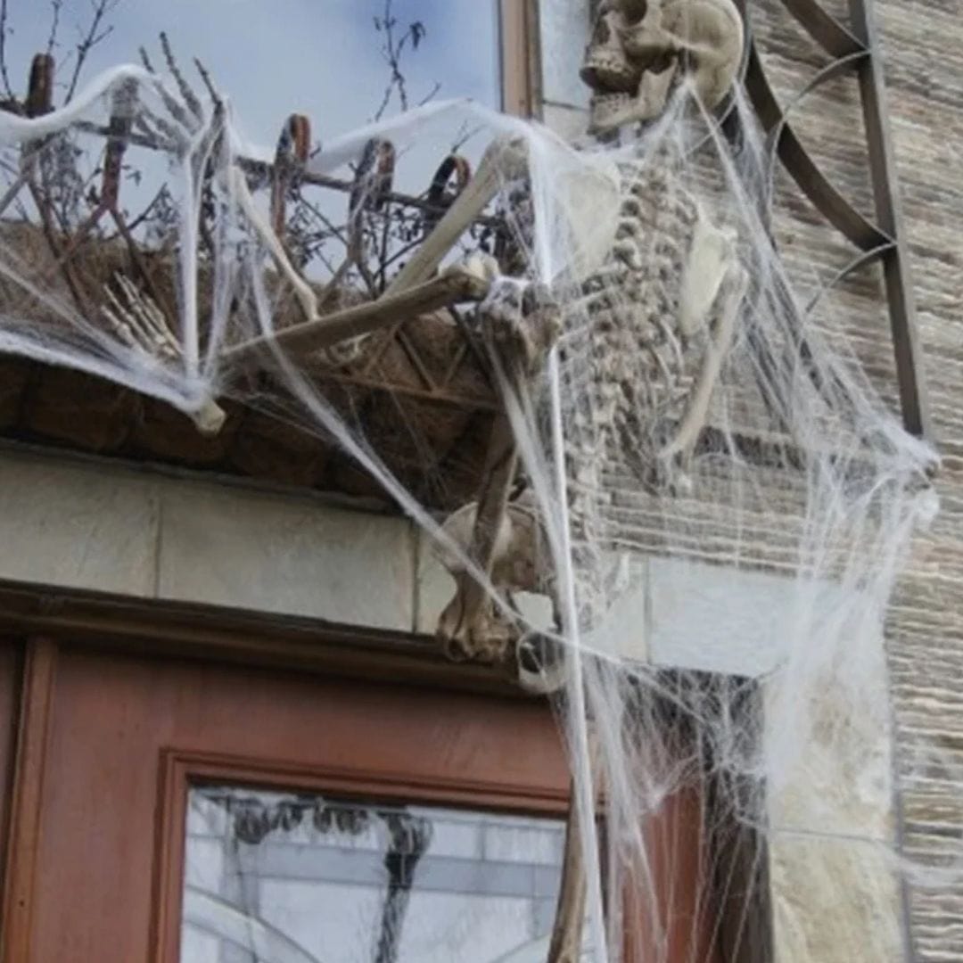 Halloween Decoration Spider Web