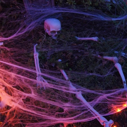 Halloween Decoration Spider Web