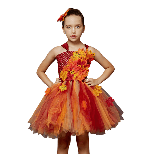 Fairy Costume Girls Autumn Fairy Tutu Dress