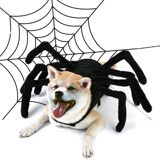 Dog Halloween Costume Funny Spider