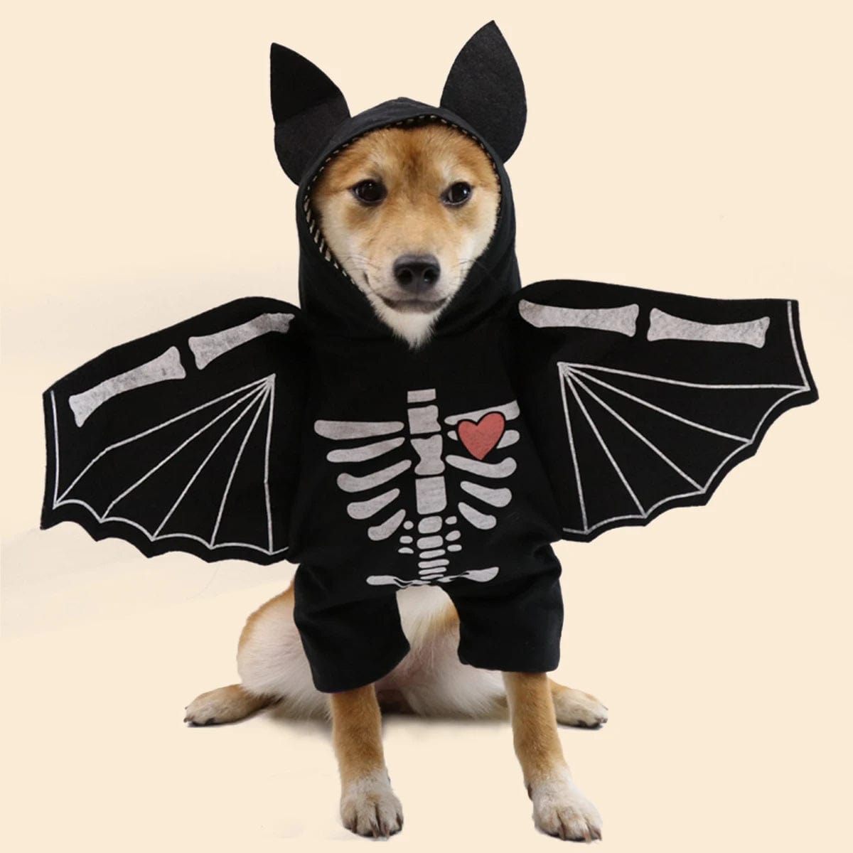 Dog Halloween Costume Bat Clothing