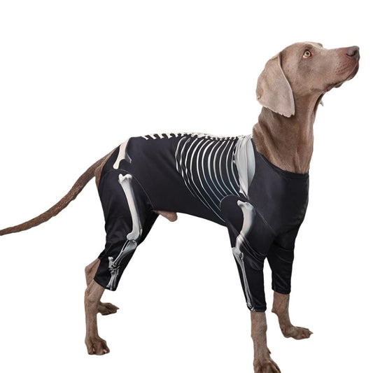 Dog Halloween Costume Skull Transformation Cosplay