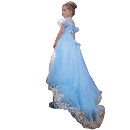 Cinderella Frosted Elegance Gown