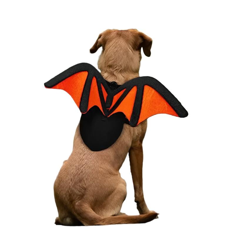 Dog Halloween Costume Bat Wings Black Pet