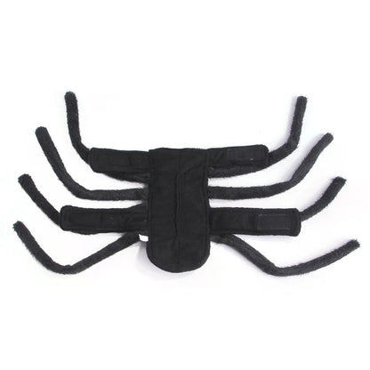 Dog Halloween Costume Funny Spider