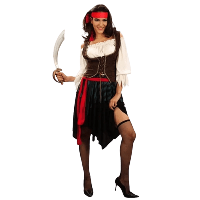 Pirate Costume Couples Halloween Costumes