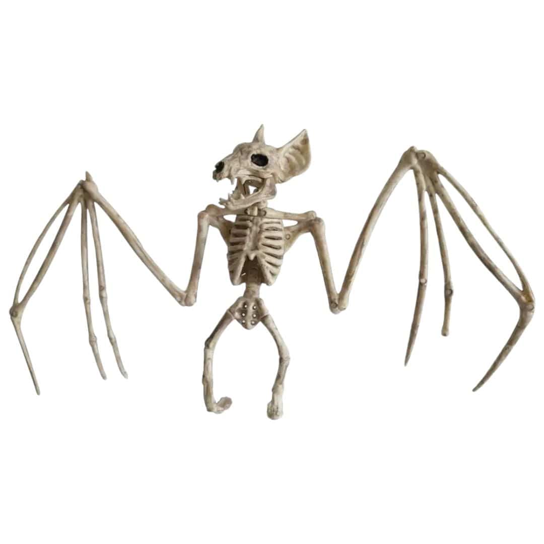 Halloween Skeleton Animal Decorations - Bat, Mouse, Crow, Rat