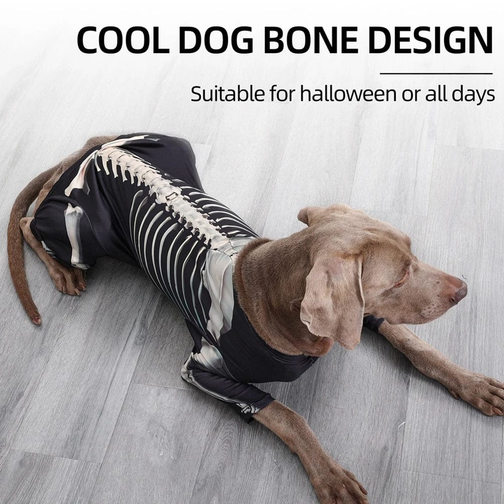 Dog Halloween Costume Skull Transformation Cosplay