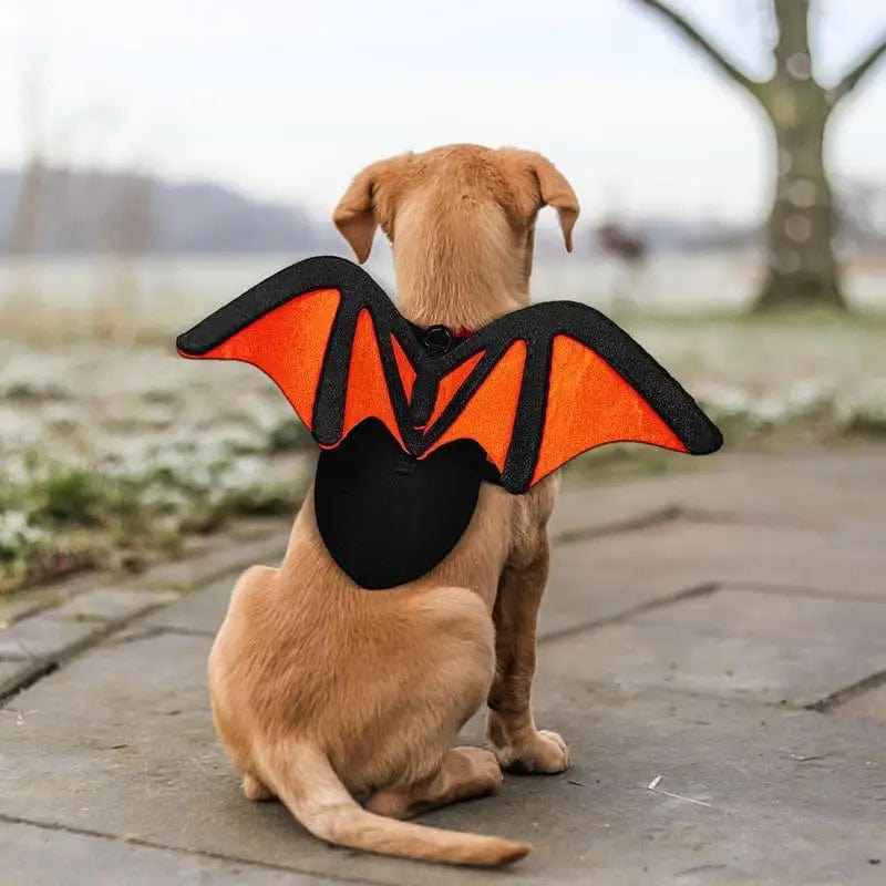 Dog Halloween Costume Bat Wings Black Pet