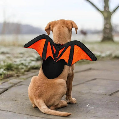 Dog Halloween Costume Bat Wings Black Pet