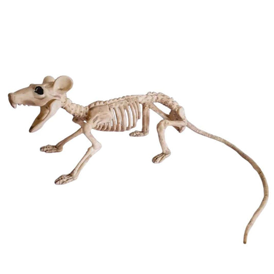 Halloween Skeleton Animal Decorations - Bat, Mouse, Crow, Rat