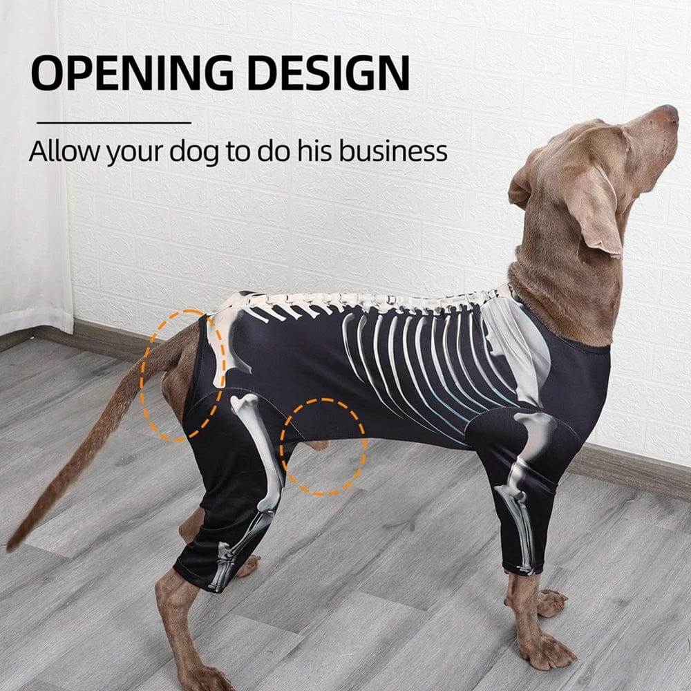 Dog Halloween Costume Skull Transformation Cosplay