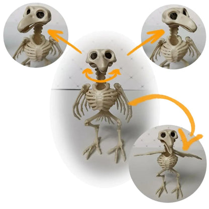 Halloween Skeleton Animal Decorations - Bat, Mouse, Crow, Rat