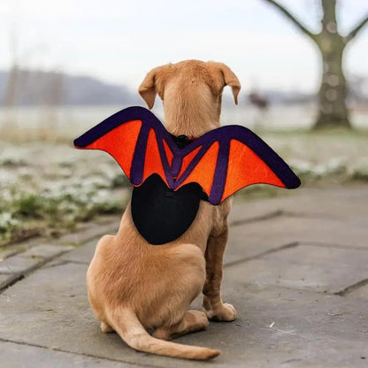 Dog Halloween Costume Bat Wings Black Pet