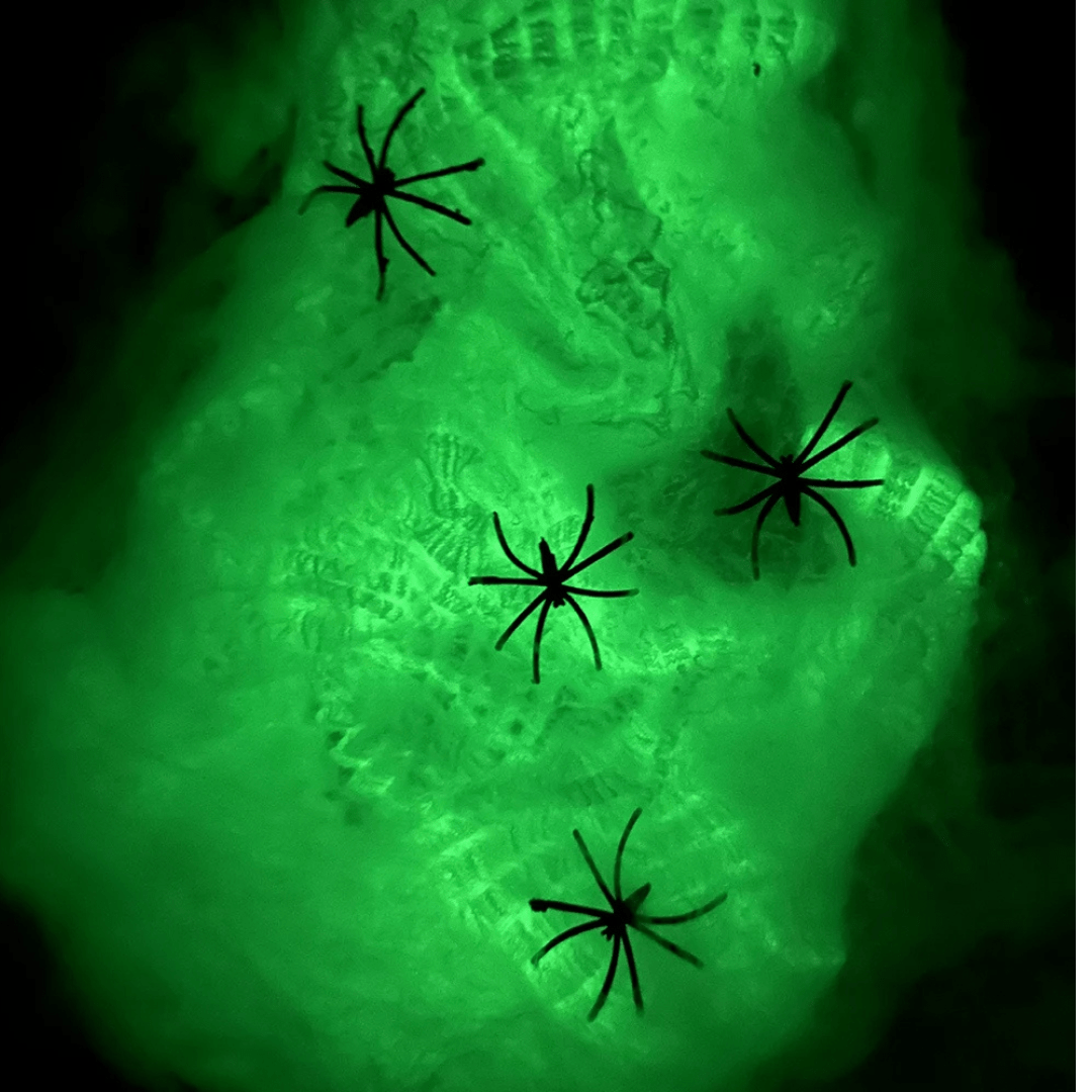 Halloween Decoration Luminous Spider Web with Fake Spiders