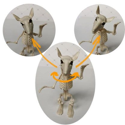 Halloween Skeleton Animal Decorations - Bat, Mouse, Crow, Rat