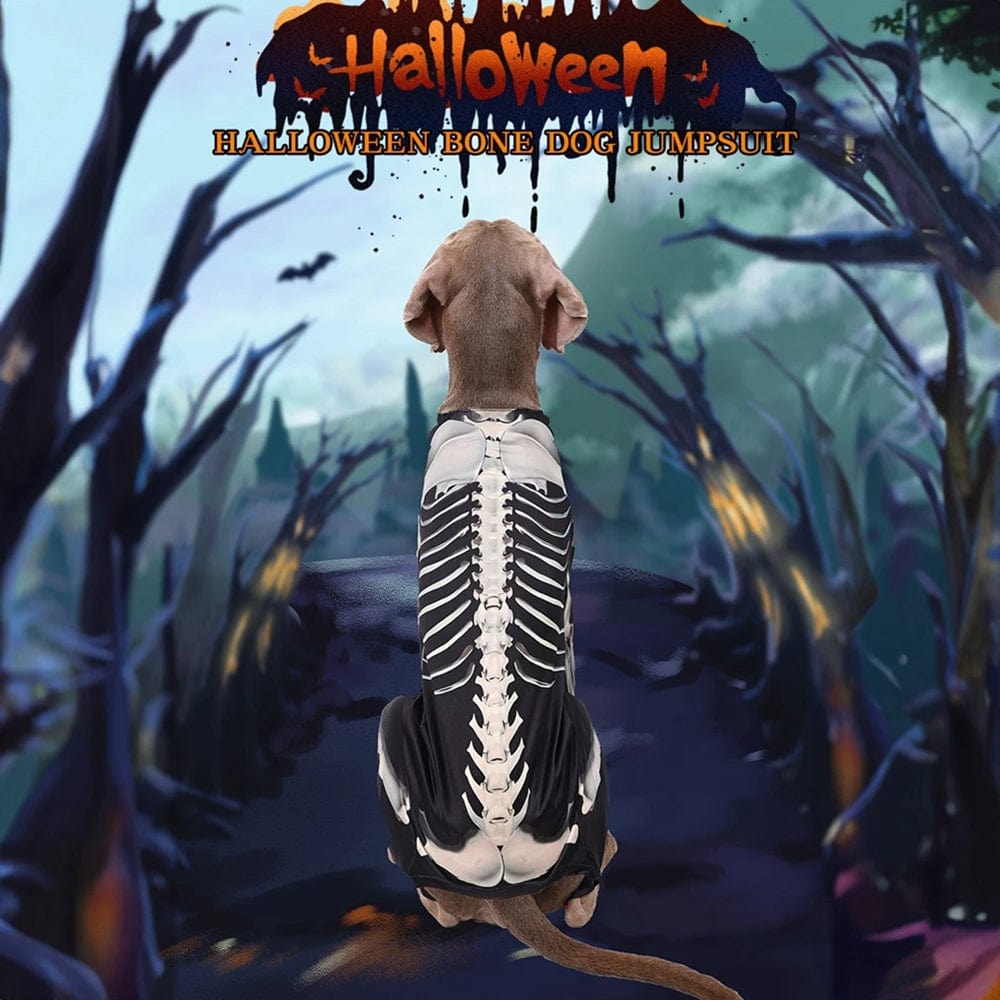 Dog Halloween Costume Skull Transformation Cosplay