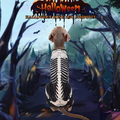 Dog Halloween Costume Skull Transformation Cosplay