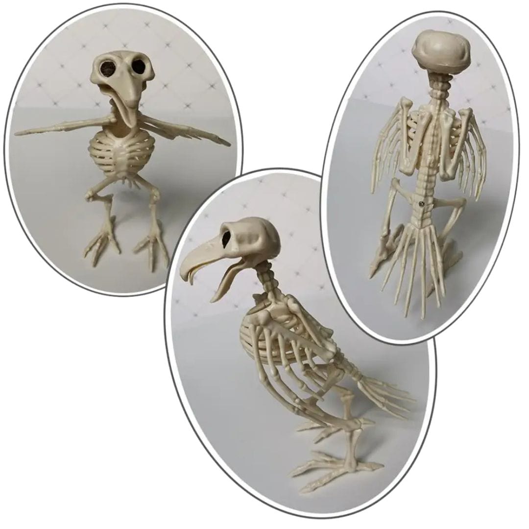 Halloween Skeleton Animal Decorations - Bat, Mouse, Crow, Rat