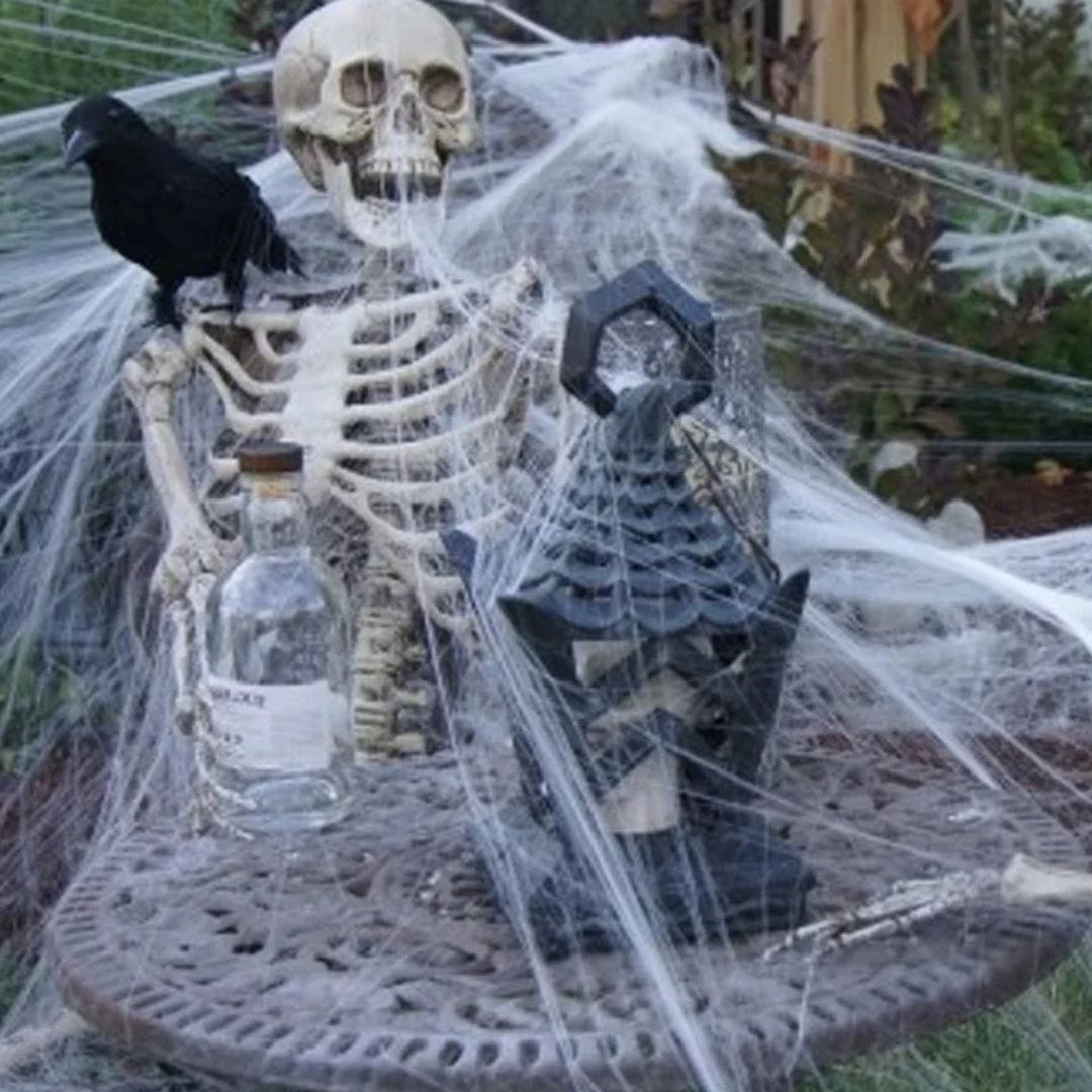 Halloween Decoration Spider Web