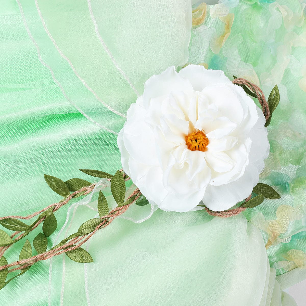 Princess Tiana Frog Prince Tutu Dress