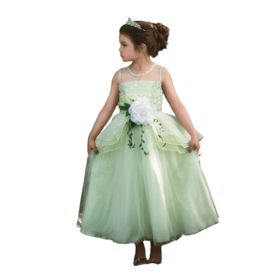 Princess Tiana Frog Prince Tutu Dress