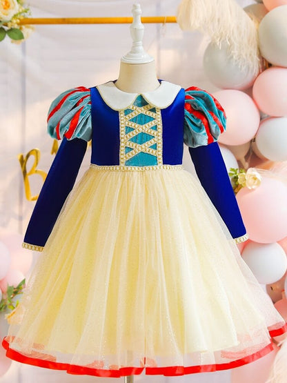 Snow White Winter Enchantment Dress