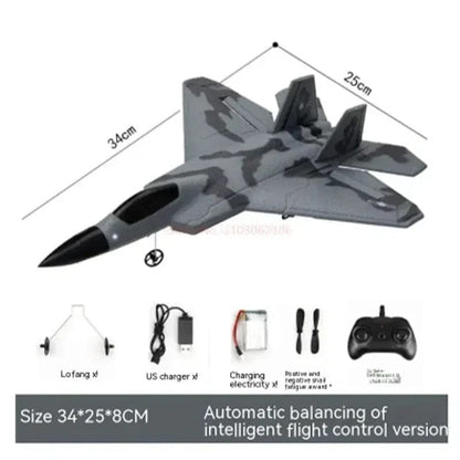 RC Plane AeroGuard F22 Stealth Flyer