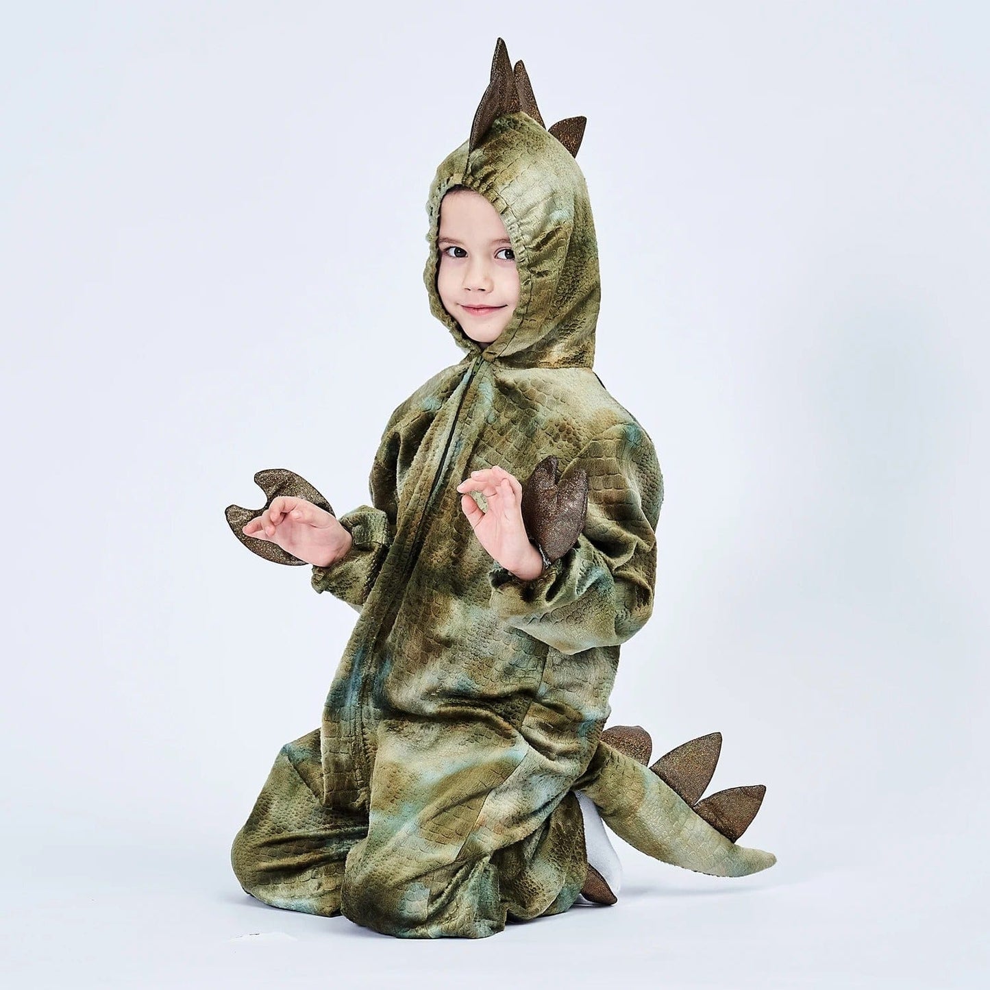 Dinosaur Costume  T-Rex Costume