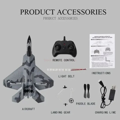 RC Plane AeroGuard F22 Stealth Flyer