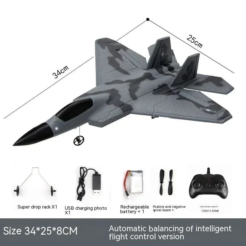 RC Plane AeroGuard F22 Stealth Flyer